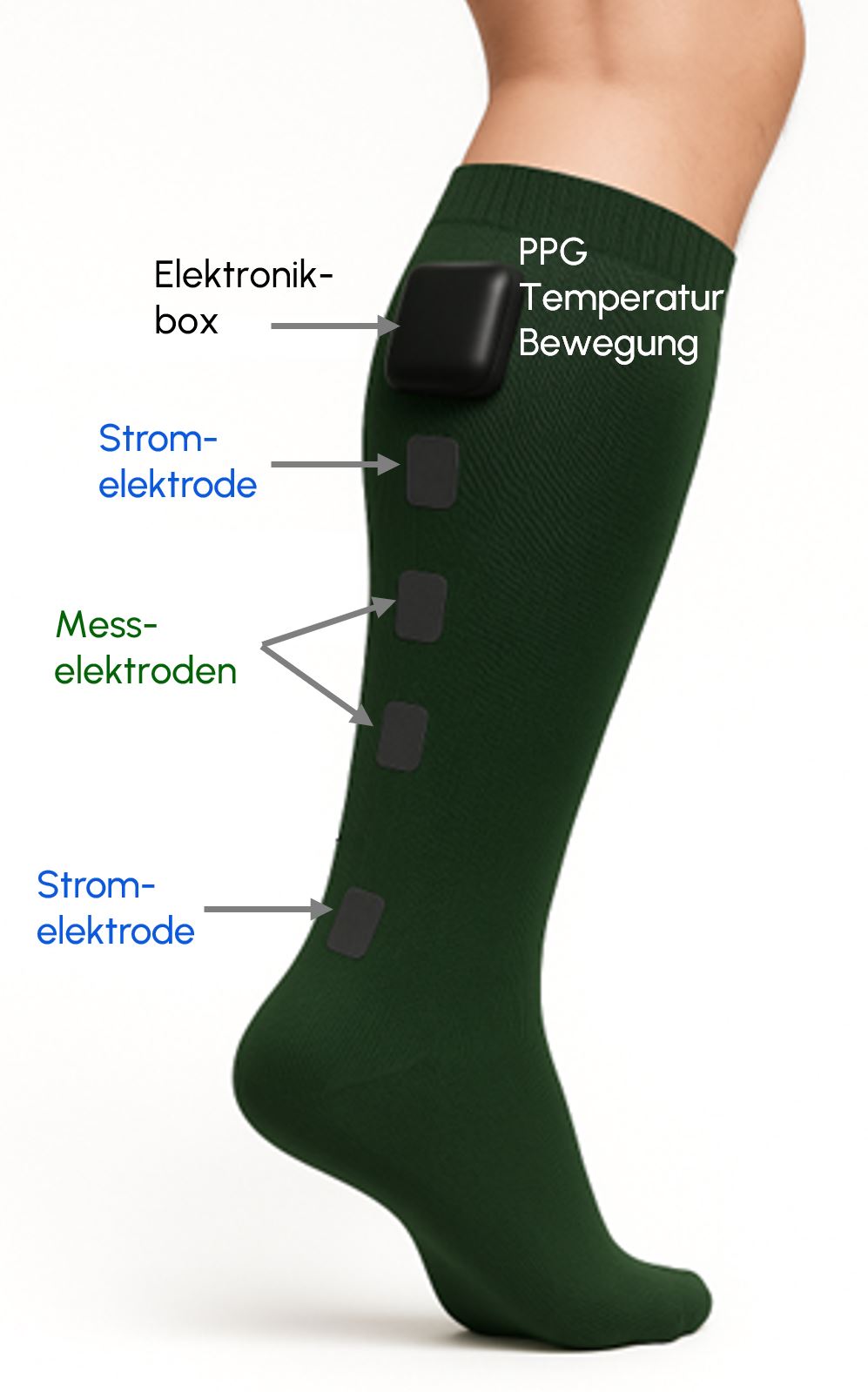 Socke‑Mockup
