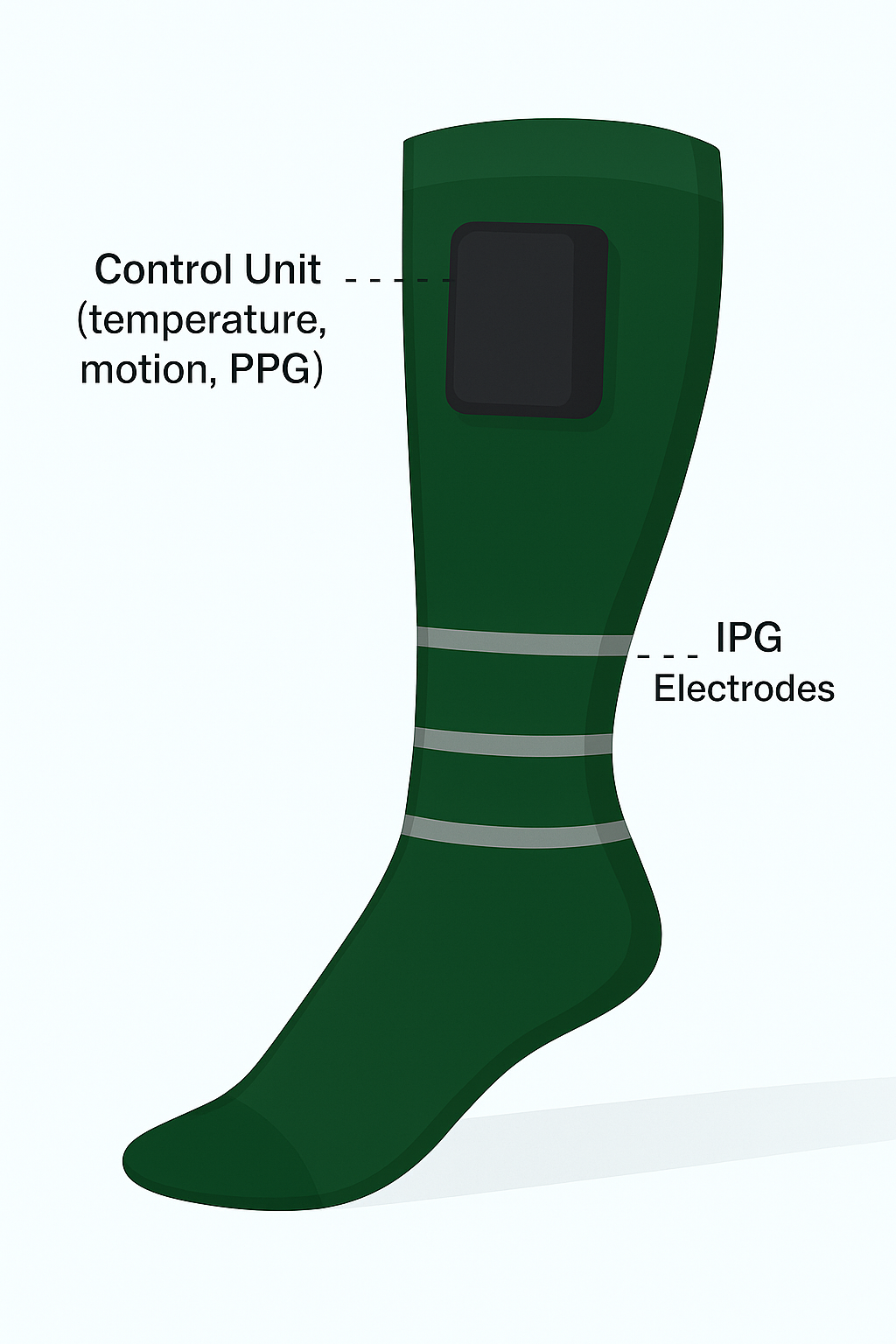Sock Prototype